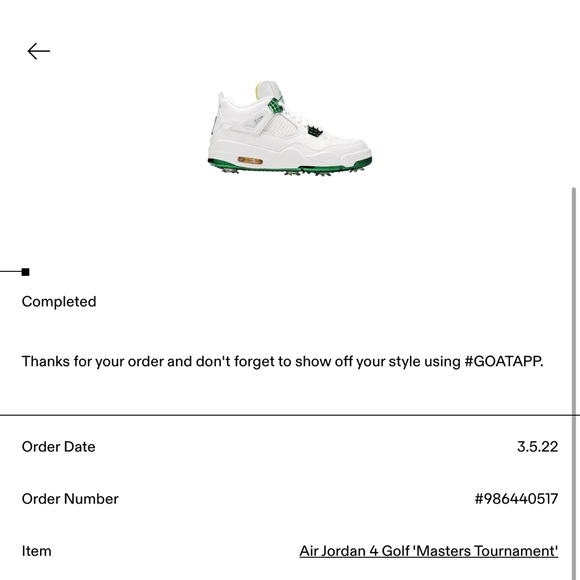 COPY - Jordan IV G NRG- masters edition - Picture 7 of 8